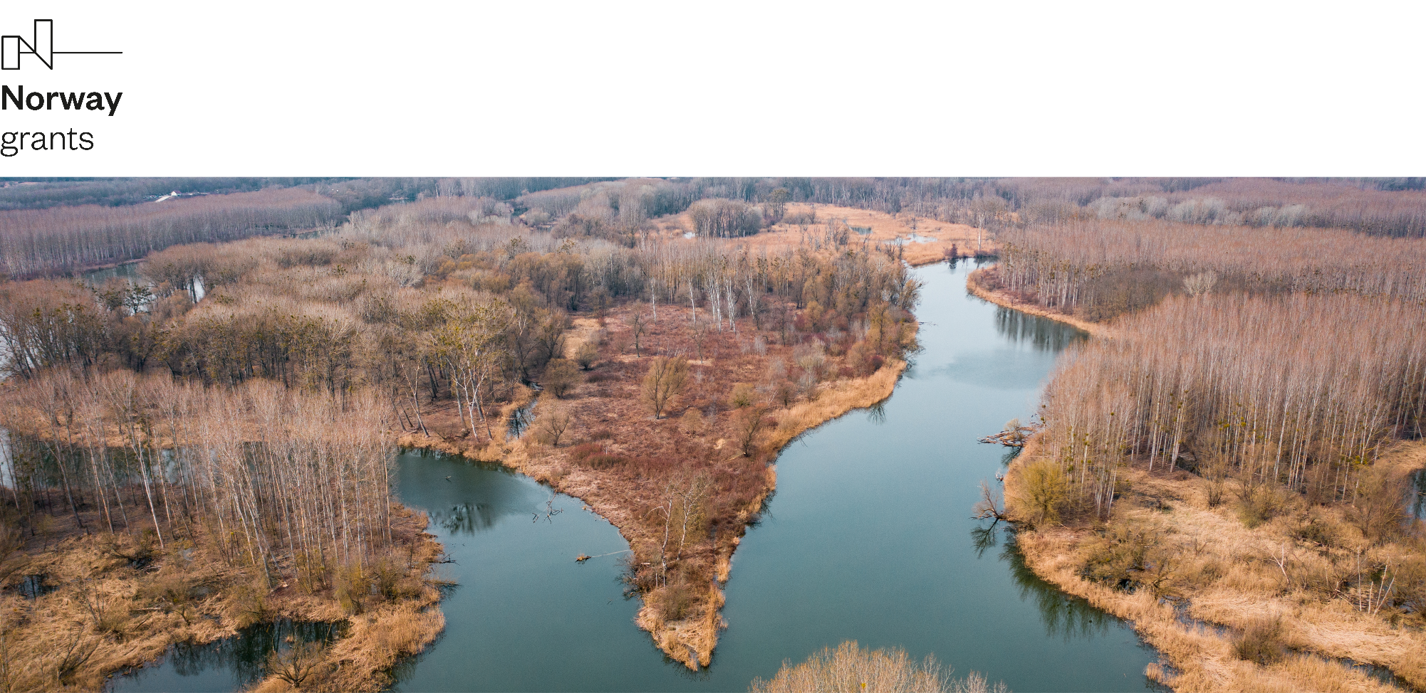 Improving the condition of selected wetlands in the left-hand branch system of the Danube River